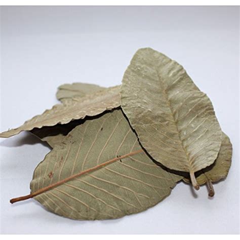 Buy NEERAJ Dry Guava Leaves Guava Leaf Amrood Patti Psidium