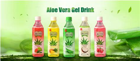 5 Aloe Vera Juice Recipes That Make You Feel Amazing