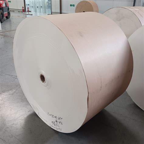 Gsm Low Moq Fast Dispatch Pe Pla Coated Printing Paper Roll China