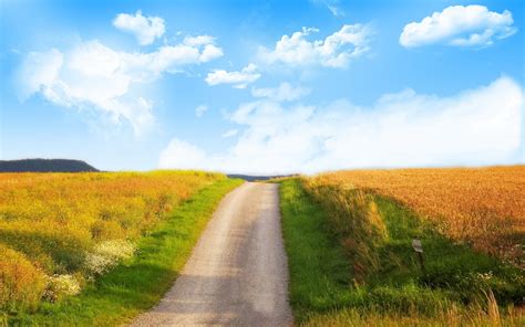 Sunlight Landscape Sunset Hill Nature Grass Sky Field Morning