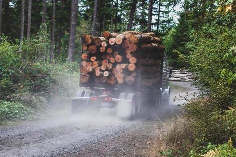 Logging Truck Stock Photos, Images and Backgrounds for Free Download