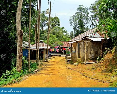 Village Near Srimangal Bangladesh Stock Image Image Of Landscape