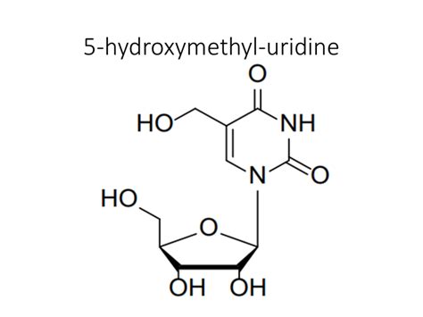 5 O Methyl Uridine Akonscientific