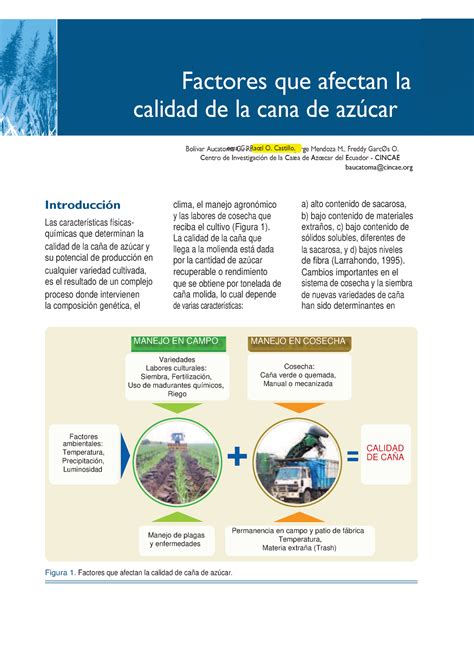 2M S1.1 Factores que Afectan la Calida de Caña. A - Figura 1. Factores