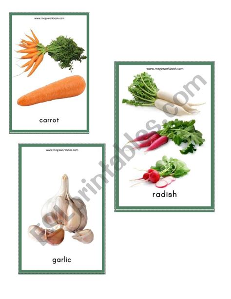 Flashcards Root Vegetables Esl Worksheet By Xtick103