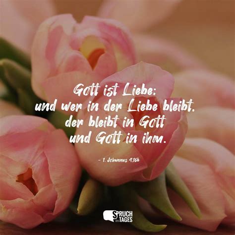 Gott Ist Liebe Und Wer In Der Liebe Bleibt Der Bleibt In Gott Und