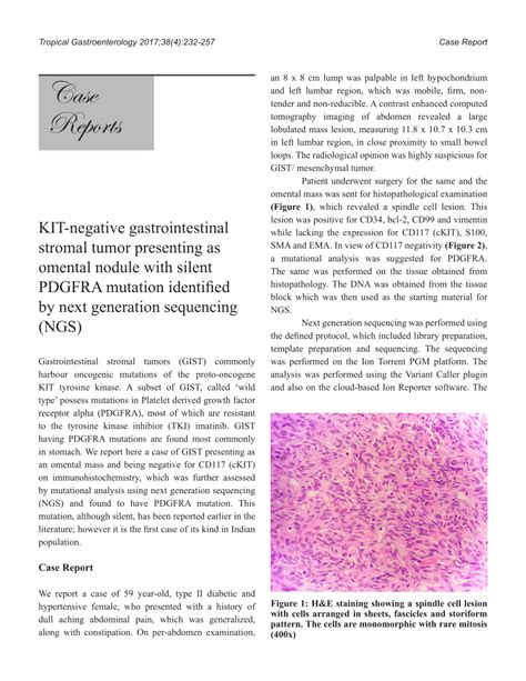 (PDF) KIT-negative gastrointestinal stromal tumor presenting as omental ...