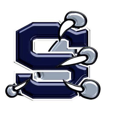 Skyview Hawks | MascotDB.com