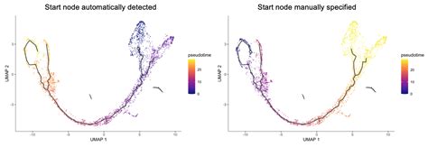 Chapter 3 Trajectory Inference And RNA Velocity HKU Single Cell