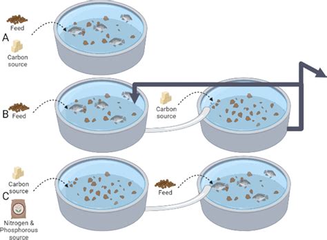 Biofloc Culture Systems Using Different Configurations A Represents