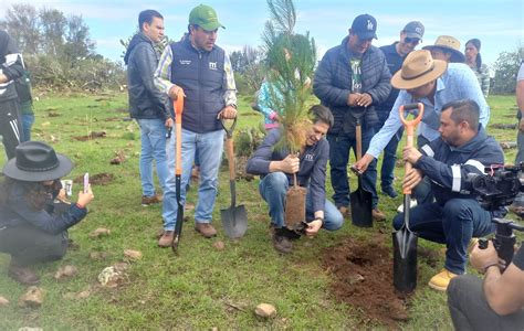 Cerrará Morelia 2023 con 700 mil nuevos árboles sembrados alcalde