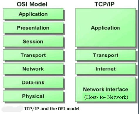 Comparison Between Osi And Tcpip Model