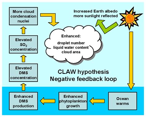 How Does One Form a Scientific Hypothesis | Definition, Tips, Examples