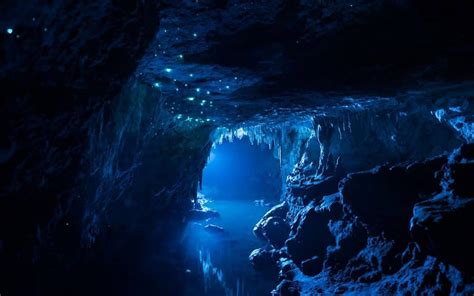 As Cavernas De Waitomo Na Nova Zelândia Que Parecem Ter Galáxias No Seu