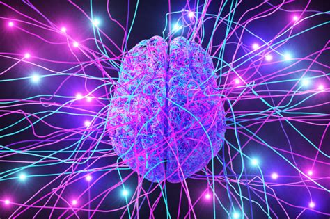 Gosh New Epilepsy Research Reveals Brain Wiring Differences Epilepsyu