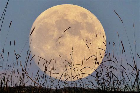 Skywatchers: Largest 'supermoon' of 2024 set to peak on Oct. 17