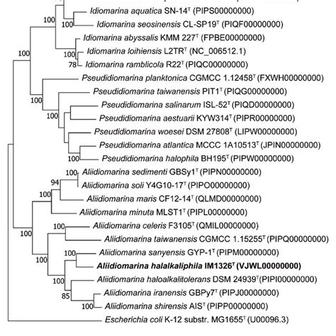 Maximum Likelihood Phylogenetic Tree Based On 120 Bacterial Conserved