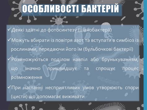 Презентація "Бактерії"