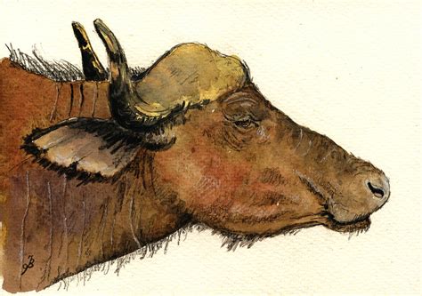 Buffalo Head Painting at PaintingValley.com | Explore collection of ...