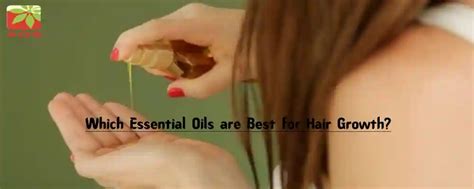 Lavender Essential Oil for Hair: How to Use | AOS Blog