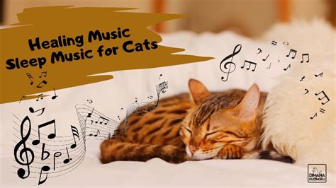 Relaxing Music For Cats Stress Relief And Anxiety Sleep Music For