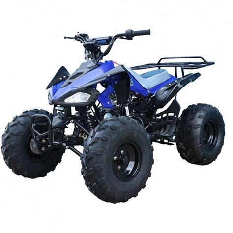 Tao Tao 125 Atv Ata 125 Cheetah Taotao Cheetah 125cc Online