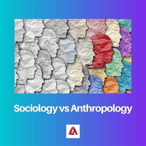 Sociología Vs Antropología Diferencia Y Comparación