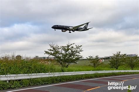 成田で飛行機～34lへオールブラックス Mgt Greenjet 飛行機撮影記