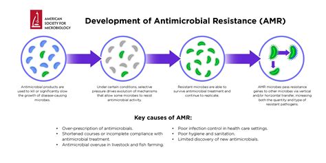 Antimicrobial Resistance