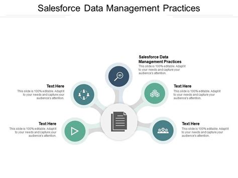 Salesforce Data Management Practices Ppt Powerpoint Presentation Ideas