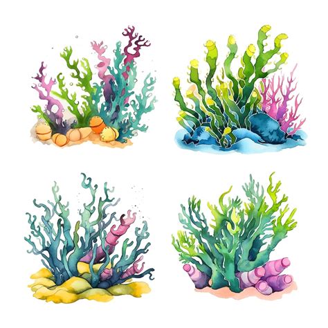 Premium Vector Seaweeds Watercolor Paint Ilustration Collection