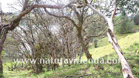 Lote Con Hermosa Vista A La Represa N Naturavivienda