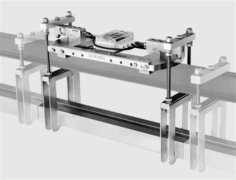 DINI ARGEO 100X50RTK TWL Series Overhead Monorail Weighing Scales