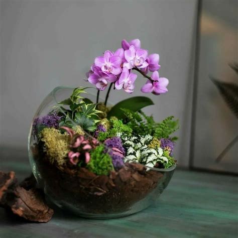 DIY Succulent Terrarium With Miniature Garden Plants