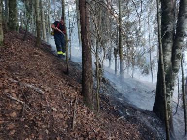 Isu Bn Nc Se Intervine La Incendiile Din Fondurile Forestiere De La