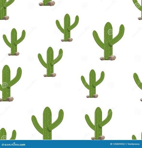 Cactus Plants On White Seamless Background Illustration Green Isolated