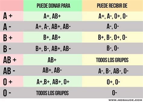 Grupos Sangu Neos Sistema Ab Factor Rh Y Compatibilidad