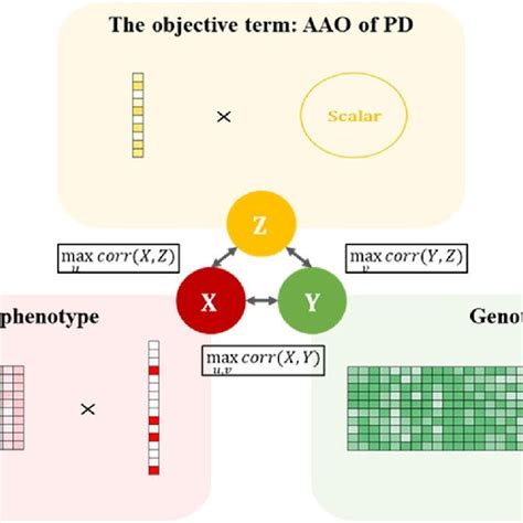 Schematic Of Our Objective Specific Sparse Canonical Correlation