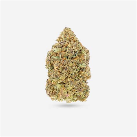 Purple Gelato Hybrid Bloom Supply
