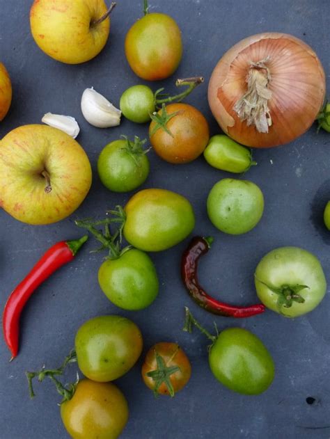 Green Tomato Apple And Chilli Chutney Recipe