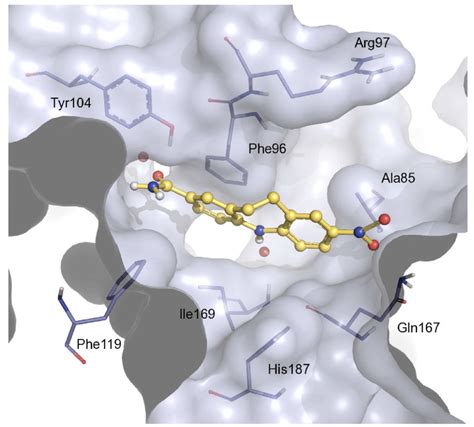 Predicted Binding Mode Of Compound 8 Ball And Stick Representation At