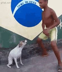 A este alegre perrito brasileño le gusta bailar samba. Y ahora estarás ...