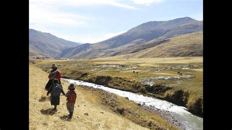 Heladas Y Lluvias Dañan 47 Mil De Hectáreas De Cultivos En Puno Rpp