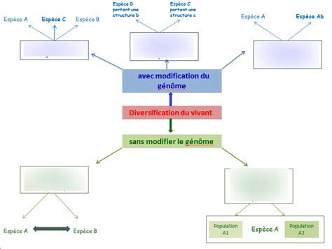 Diagramme De Svt Chapitre 2 And 3 Les Mécanismes à Lorigine De La Diversification Du Monde