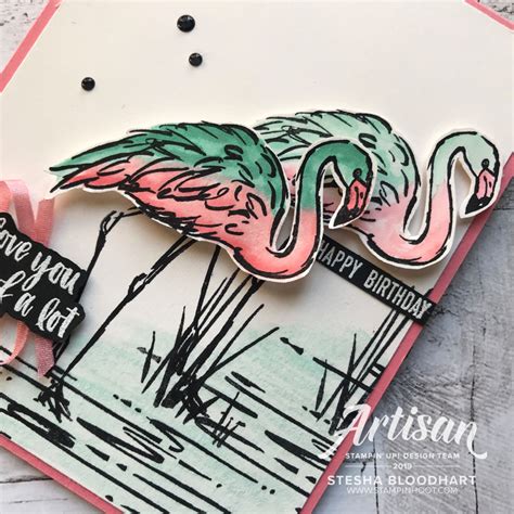 Fabulous Flamingo With The Stamp Review Crew Stampin Hoot