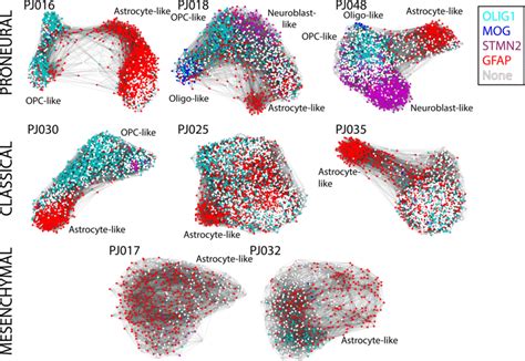 Force Directed Graphs Generated From The K Nearest Neighbor Graphs Of