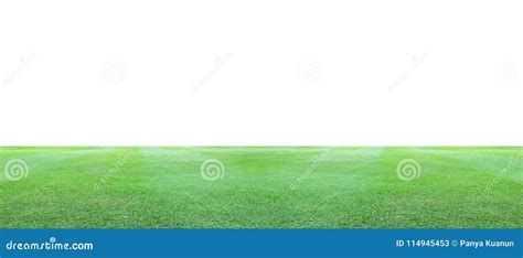 Green Grass Field on a White Background. Stock Image - Image of pasture ...