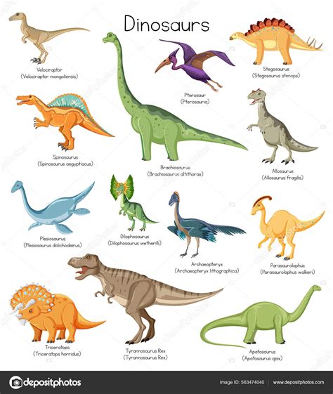 Dinosaur Black Silhouette Set With Names Vector Image, 56% OFF