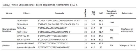 Diseño y evaluación de la expresión de una potencial vacuna de ADN