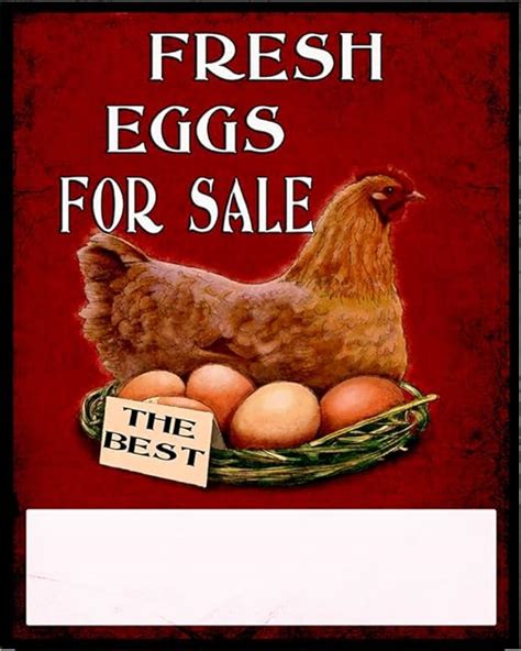 Fresh Eggs For Sale Sign Metal Wall Sign X Inches Plaque Vintage